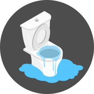 トイレ詰まり